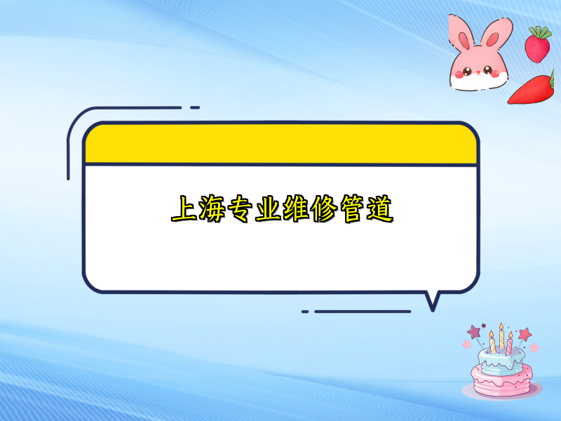 上海專業(yè)維修管道